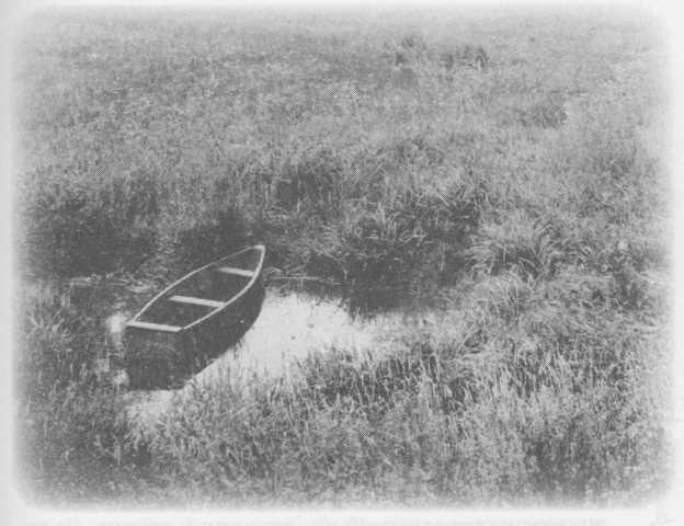 Небесный огонь и другие рассказы