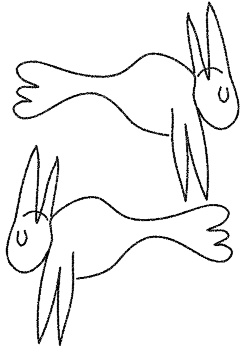 Мост через канал Грибоедова