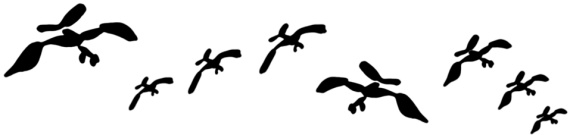 Мост через канал Грибоедова