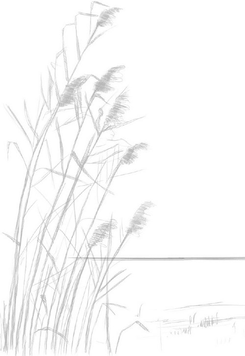 О чем шептались фламинго О чем шептались фламинго