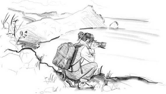 О чем шептались фламинго О чем шептались фламинго