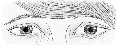 Возвращение Юного принца Возвращение Юного принца