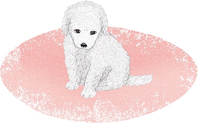 Возвращение Юного принца Возвращение Юного принца