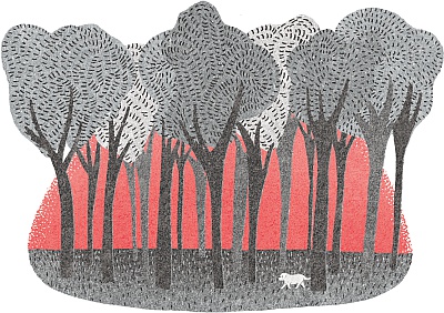 Возвращение Юного принца Возвращение Юного принца