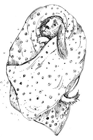 Мохнатый ребенок Мохнатый ребенок