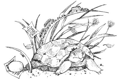 Мохнатый ребенок