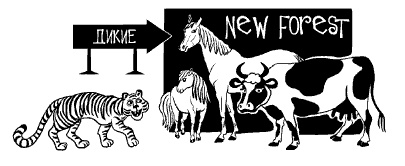 Английская свадьба Английская свадьба