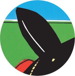 Игрунка в ночи Игрунка в ночи