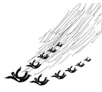 Топ 10, или Мужчиnа Моей Мечты Топ 10, или Мужчиnа Моей Мечты