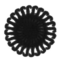 Огненный дождь