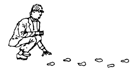 Собиратель автографов