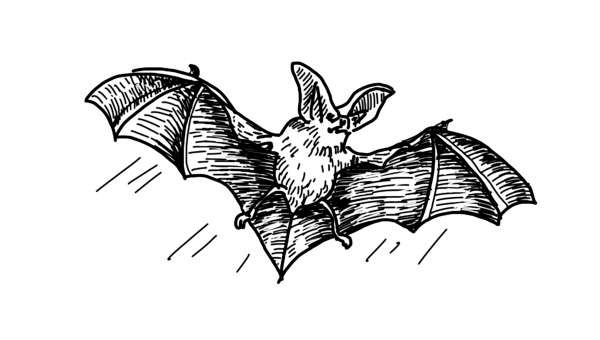 Служба Контроля Служба Контроля