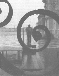 Венеция - это рыба Венеция - это рыба