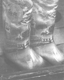 Венеция - это рыба Венеция - это рыба