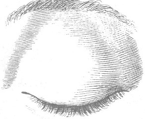 Венеция - это рыба Венеция - это рыба