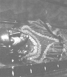 Венеция - это рыба Венеция - это рыба