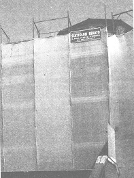 Венеция - это рыба Венеция - это рыба