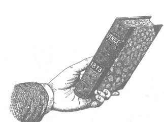 Венеция - это рыба