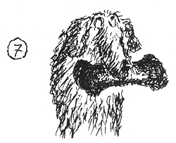 Собачья жизнь Собачья жизнь