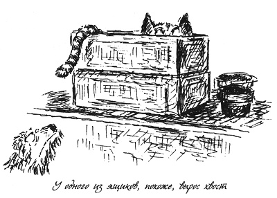 Собачья жизнь Собачья жизнь