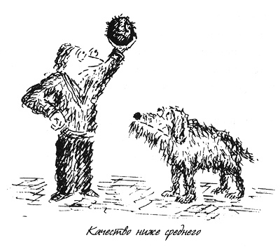 Собачья жизнь Собачья жизнь