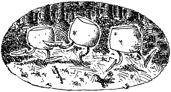 Семейка монстров Семейка монстров