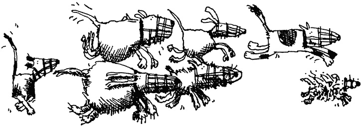 Семейка монстров Семейка монстров