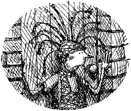 Семейка монстров Семейка монстров