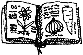 Семейка монстров Семейка монстров