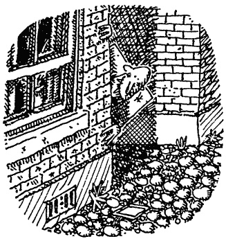 Семейка монстров Семейка монстров