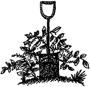 Семейка монстров Семейка монстров