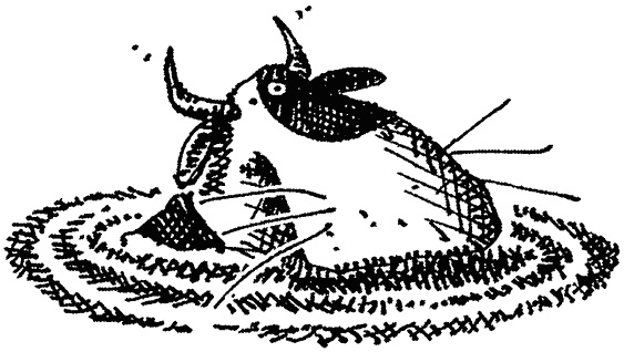 Семейка монстров Семейка монстров