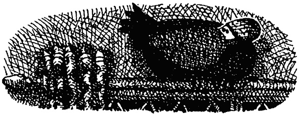 Семейка монстров Семейка монстров