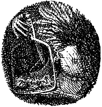 Семейка монстров Семейка монстров