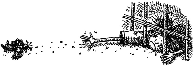 Семейка монстров Семейка монстров