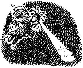 Семейка монстров Семейка монстров