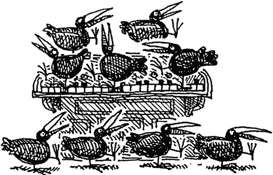 Семейка монстров Семейка монстров