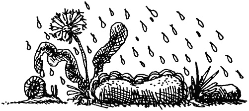 Семейка монстров Семейка монстров