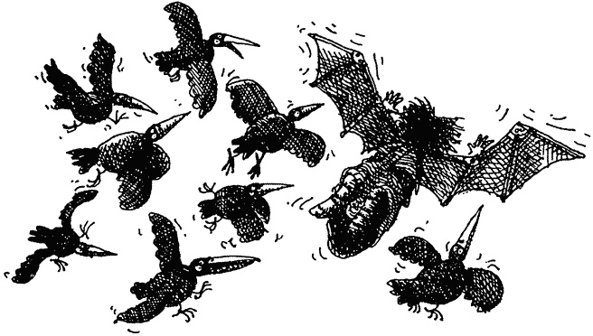 Семейка монстров Семейка монстров