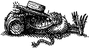 Семейка монстров Семейка монстров