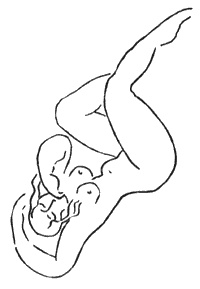 История одного предательства, одной страсти и трех смертей История одного предательства, одной страсти и трех смертей