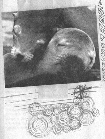 Квантовая теория любви