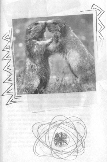 Квантовая теория любви