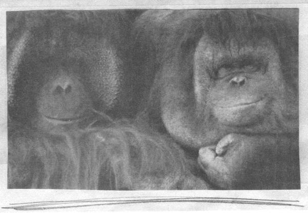 Квантовая теория любви