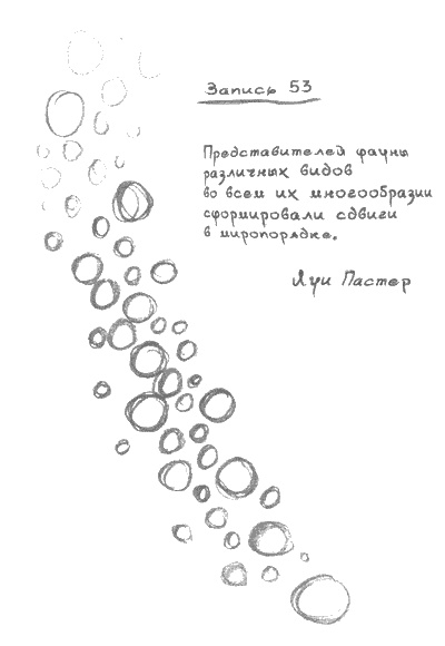 Квантовая теория любви