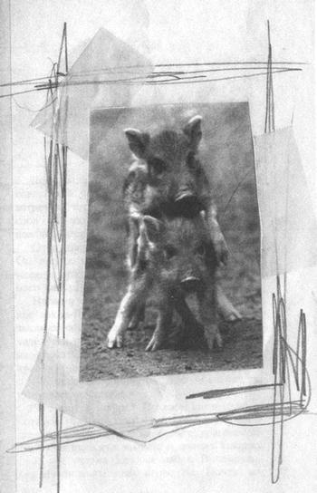 Квантовая теория любви