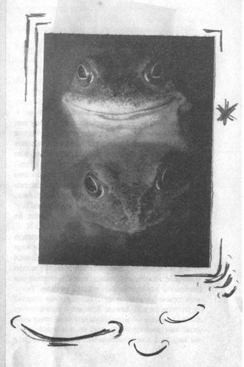 Квантовая теория любви