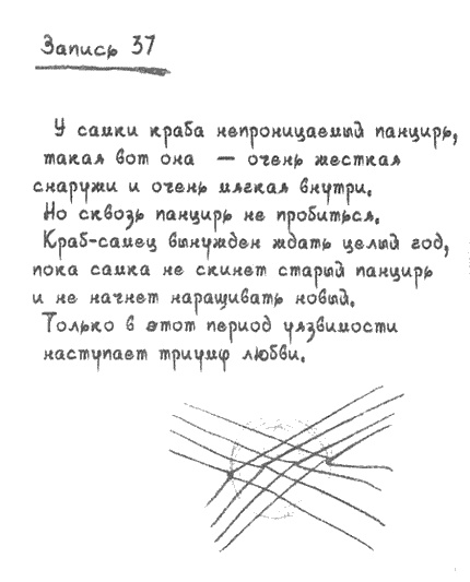 Квантовая теория любви