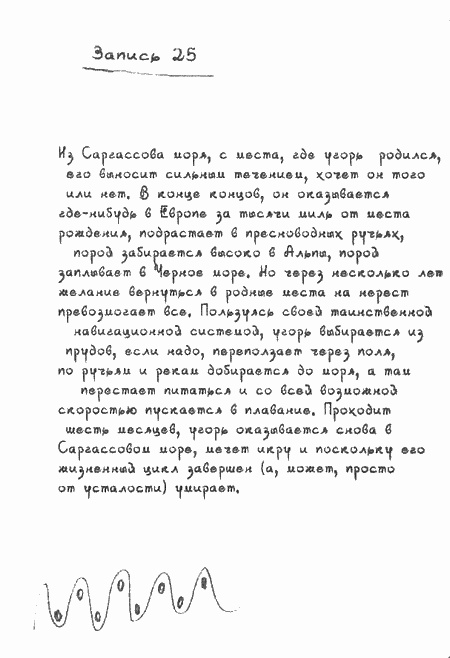 Квантовая теория любви