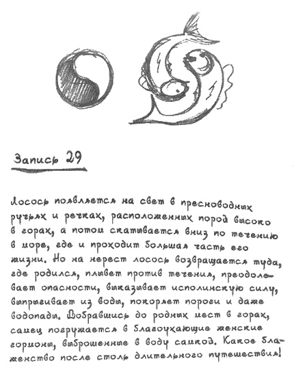 Квантовая теория любви